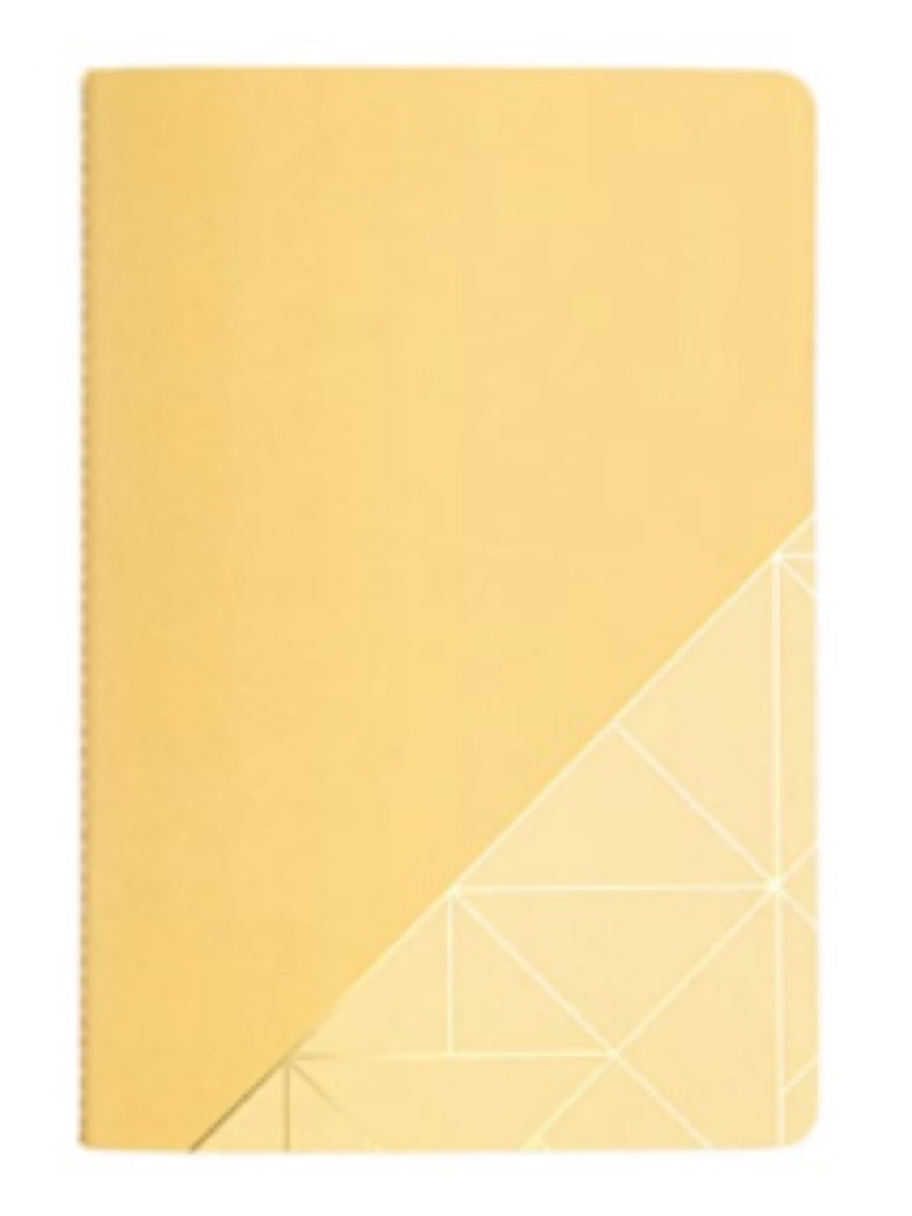 Erin Condren Wellness Log Petite Planner